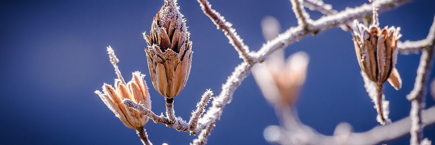 News und Inspiration für den Winter aus der Schweiz und Liechtenstein